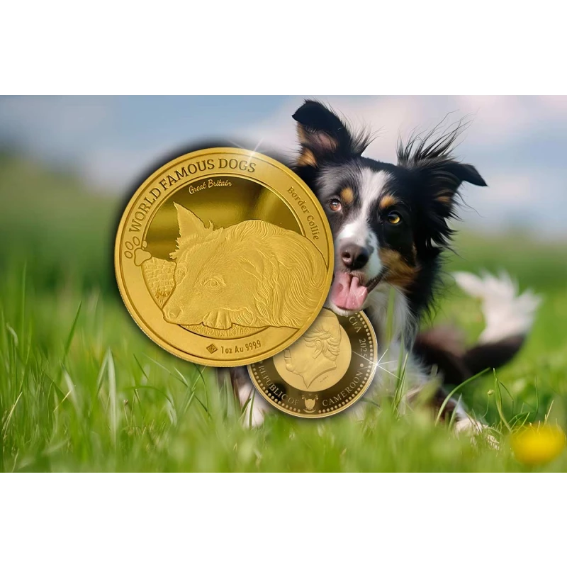 Золотая монета Камеруна Бордер-колли 2025 1 oz Коллекционные монеты
