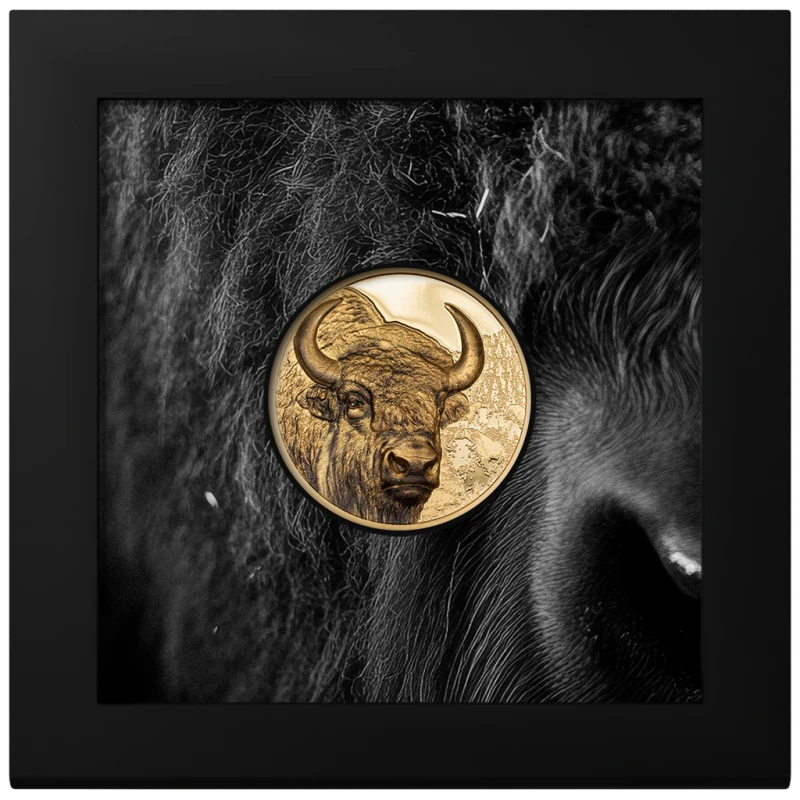 Золотая монета Монголии Бизон 2025 Proof 1 oz Коллекционные монеты
