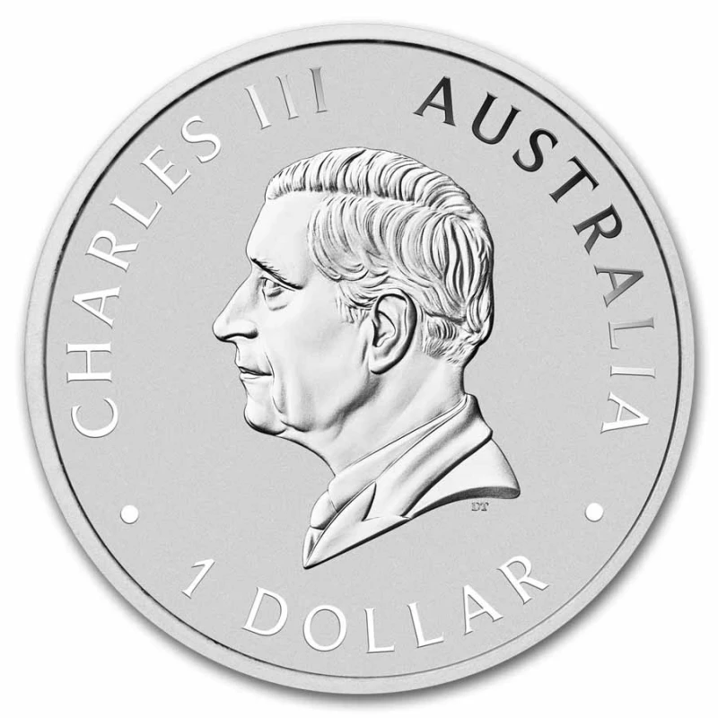 Серебряная монета Австралии Брамби 2025 1 oz Коллекционные монеты