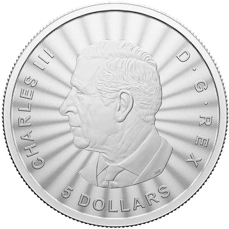 Серебряная монета Канады Величественный белый медведь 2024 1 oz Коллекционные монеты
