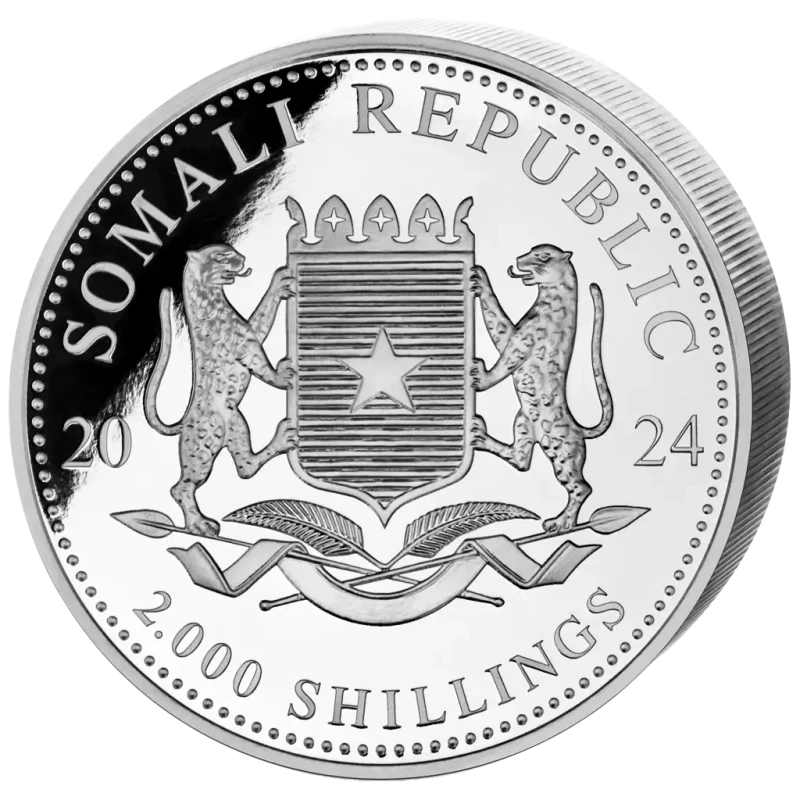 Серебряная монета Сомали Леопард 2024 1000 г Коллекционные монеты